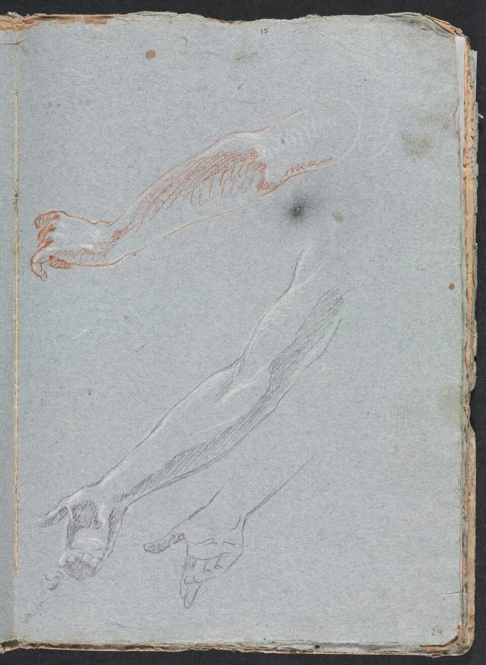 Studio delle mani e delle braccia - Cleveland Museum of Art